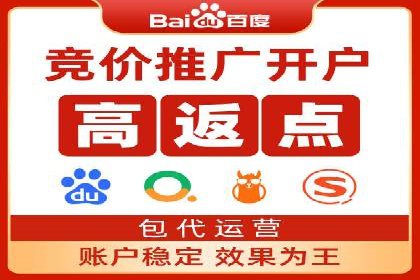 百度推广公司案例研究：揭秘电商行业爆款打造秘诀